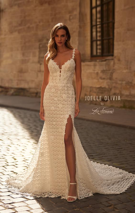 Picture of: Crochet Lace Fitted Boho Wedding Dress with Slit in WIII, Style: J2282, Back Picture