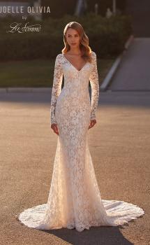 Picture of: Long Sleeve Wedding Dress with V Neckline and Illusion Back Detail in IIINI, Style: J2198, Main Picture